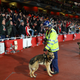 Photo credit: Richard Heathcote/Getty